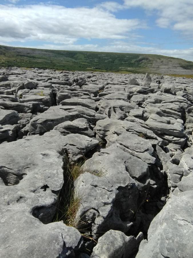 Burren Rock Farmhouse B&B Turlough  Ngoại thất bức ảnh