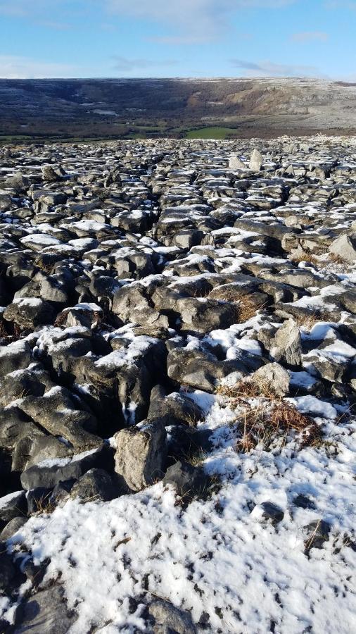 Burren Rock Farmhouse B&B Turlough  Ngoại thất bức ảnh